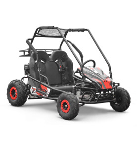 Buggy 200cc enfant 2 places PANTHER