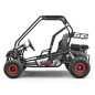 Buggy 212cc enfant 2 places PANTHER