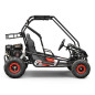 Buggy 212cc enfant 2 places PANTHER