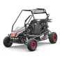 Buggy 212cc enfant 2 places PANTHER