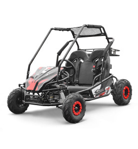 Buggy 200cc enfant 2 places PANTHER