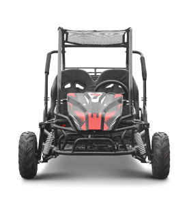 Buggy 200cc enfant 2 places PANTHER