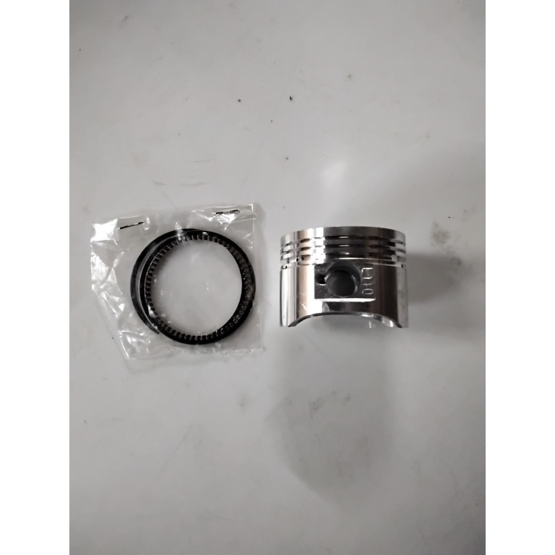 Piston 110 bse+segments 