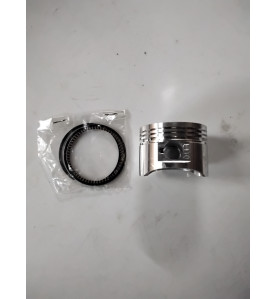 Piston 110 bse+segments 