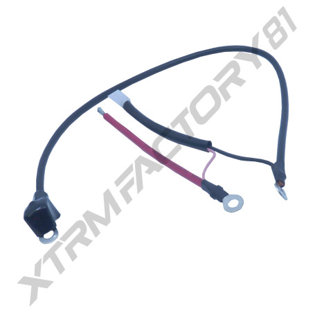 CABLE ALIMENTATION BATTERIE PANTHER 2000W