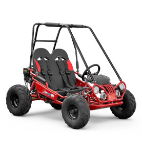 Buggy pour enfant 200cc au meilleur prix - Disponible chez EIM