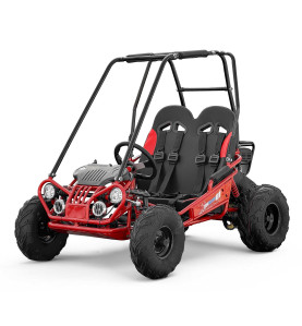 Buggy pour enfant 200cc au meilleur prix - Disponible chez EIM