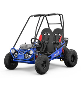 Buggy pour enfant 200cc au meilleur prix - Disponible chez EIM