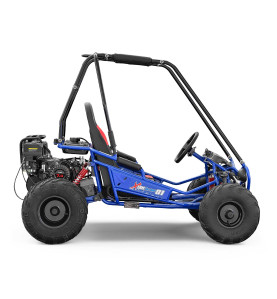 Buggy pour enfant 200cc au meilleur prix - Disponible chez EIM