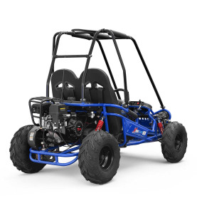 Buggy pour enfant 200cc au meilleur prix - Disponible chez EIM