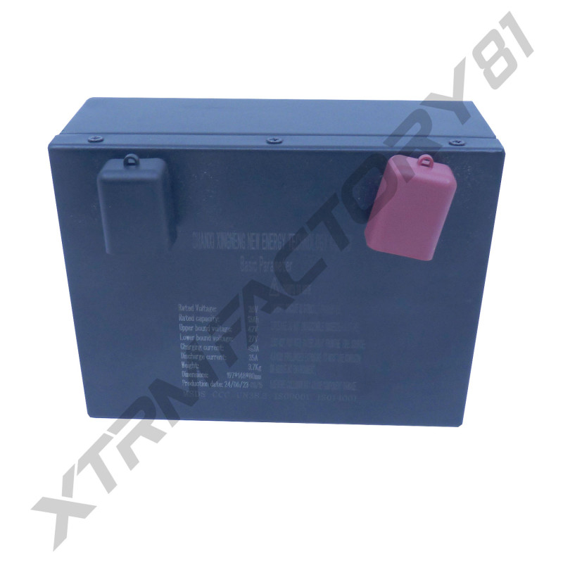 PACK BATTERIE SX LITHIUM 36V 13AH