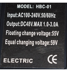 Chargeur kart électrique 48V