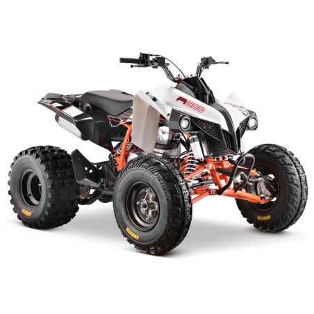 Quad 300cc