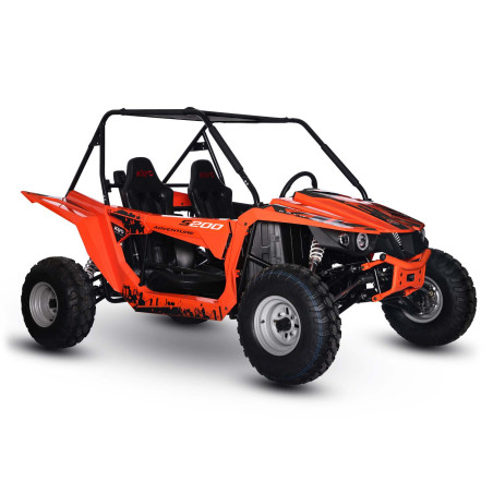 Buggy 2 places pour enfant et adulte - Buggy 200cc EIM