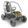 Pièces détachées pour BUGGY BUGGYONE ELEC 500W